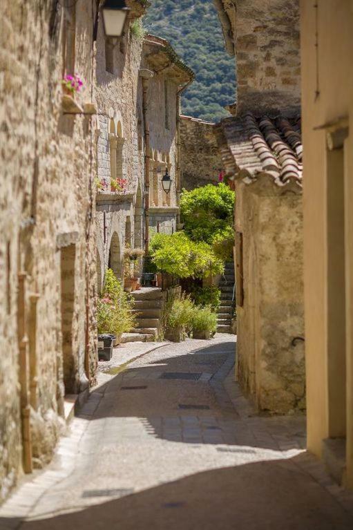 Charmante Maison A Saint Guilhem Le Desert Exterior foto